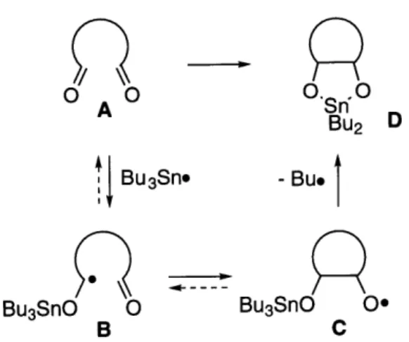 Figure  1.4  Revised  mechanism  for  the coupling. O.0 0Sn  0BU2  D- Bu*Bu3SnO O0C