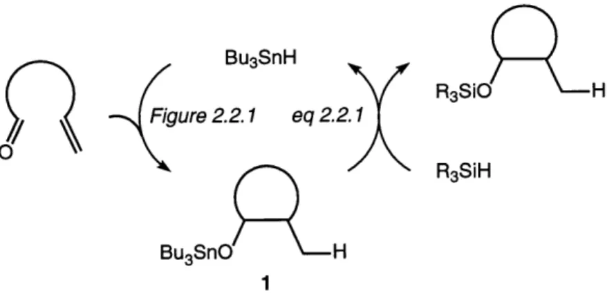 Figure  2.2.2.  Proposed  catalytic  cycle  for  tin  hydride-catalyzed,  silicon  hydride- hydride-mediated  reductive  cyclization.