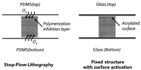 Figure  2-5:  Comparison  between  the  polymerization  process  in an  oxygen  permeable PDMS  channel  and  in  a  surface  activated  glass  channel.