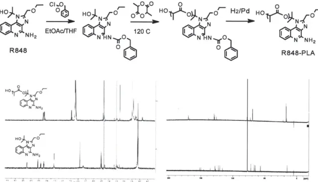 Figure  2.3  (Top)  Schematic  of  protection  of  R848  followed  by  lactide  ring opening polymerization  (Bottom)  H' and C&#34; NMR  of polymer vs