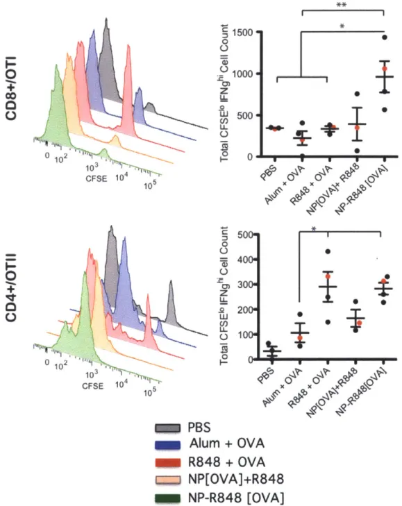 Figure  2.10  Functional proliferation  of  adoptively  transferred  CFSE-labelled  Va2+
