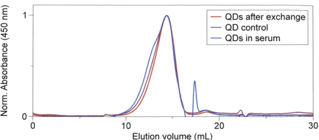 Figure  2.3  The  GFC trace  (and  therefore  size  distribution)  of InAs/CdZnS  NIR  dots  coated with  PIL  is  unchanged  after  incubation  in  40%  fetal  bovine  serum  at  37*C  for four  hours (blue)  compared  to  QDs  after  exchange  (red)  and