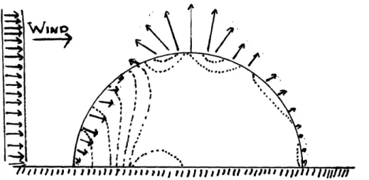Figure  12: The magnitude and direction of forces on the membrane due to a constant wind pressure