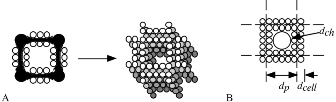 Figure 2.8—Idealized model of cell structures in polymer scaffolds. Cells are assumed to assemble into vertical sheets (A) that can be modeled as a repeat unit consisting of a single flow channel surrounded by cells (B).