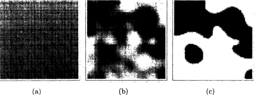 Figure  3-1:  Images  displaying  the  progress  of  a  composition  field  evolving  via  the Allen-Cahn  equation