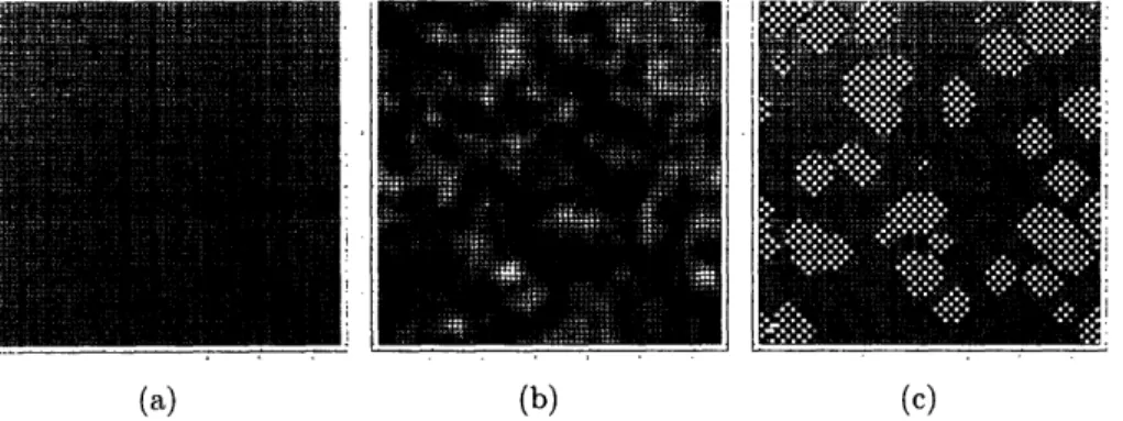 Figure  4-1:  Images  displaying  the  progress  of  a  composition  field  evolving  via  the Cahn-Hilliard  equation  combined with  the  LAX/leapfrog  differencing scheme