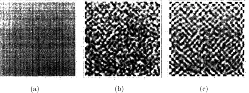 Figure  4-2:  Images  displaying the  progress  of a  composition  field evolving via  the Cahn-Hilliard  equation combined with the  Crank-Nicholson differencing scheme