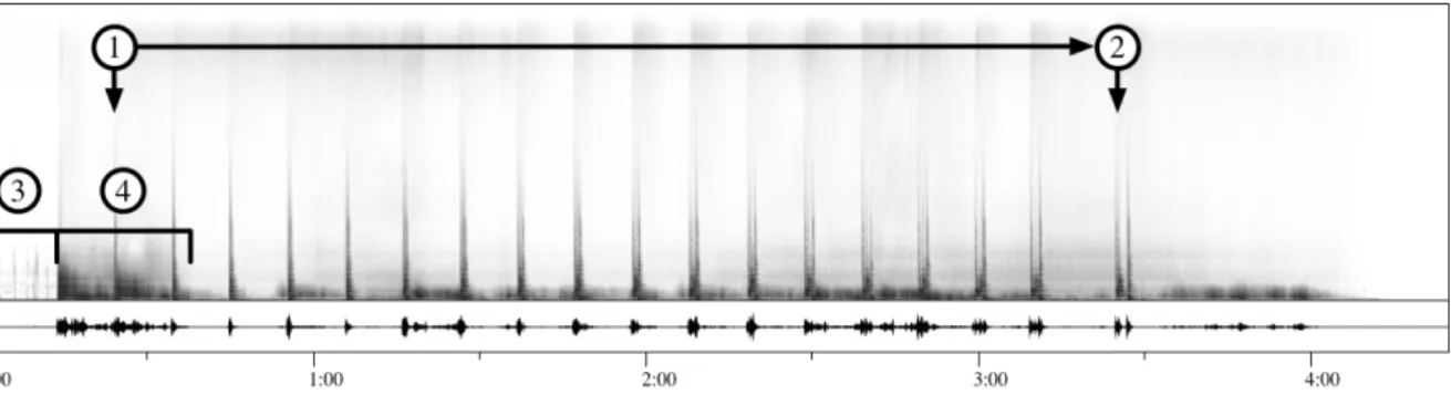 Figure 2 : troisième partie du Presque rien n°2 ou Ainsi continue la nuit dans ma tête multiple  (1977), forme d’onde (bas) et sonagramme linéaire 0-20kHz (haut)