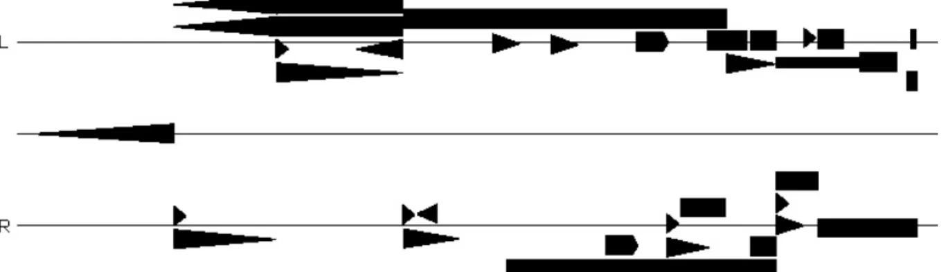 Figure 12 : la représentation des enveloppe dynamique et de l'espace dans Reflet  de Ivo Malec (0'00&#34;-1'00&#34;) 