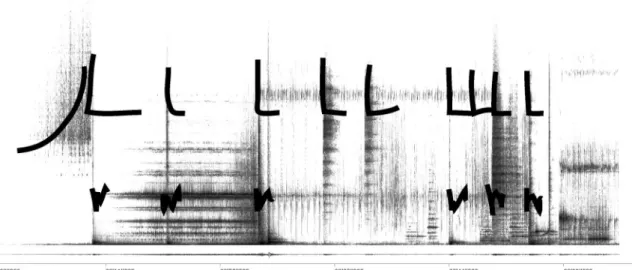 Figure 8 : une première annotation rapide du sonagramme   de Reflet de Ivo Malec (0'00&#34;-1'00&#34;) 