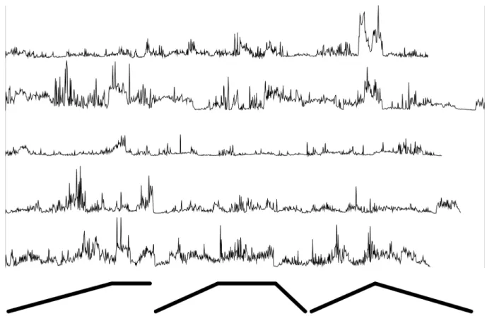 Figure 9 : les contours d’intensité des cinq performances. 