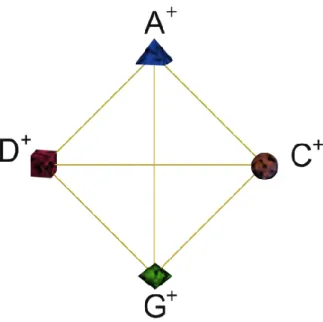 Figure 2-31 : Projection des accords augmentés dans E 4