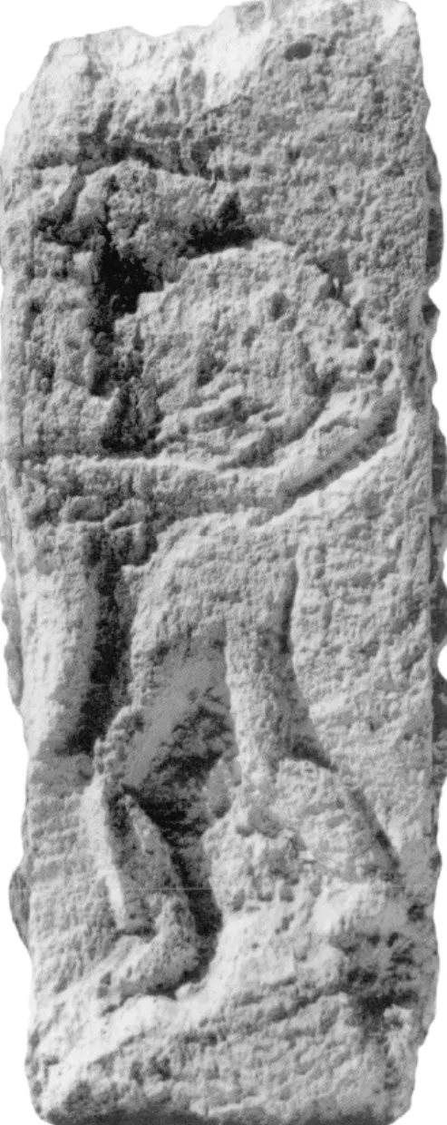 Fig. 48 - Moulage du relief sculpté sur le bossage de la clef de l'arc de  tête oriental de l'arche majeure du 2? niveau du Pont du Gard réalisé  par]
