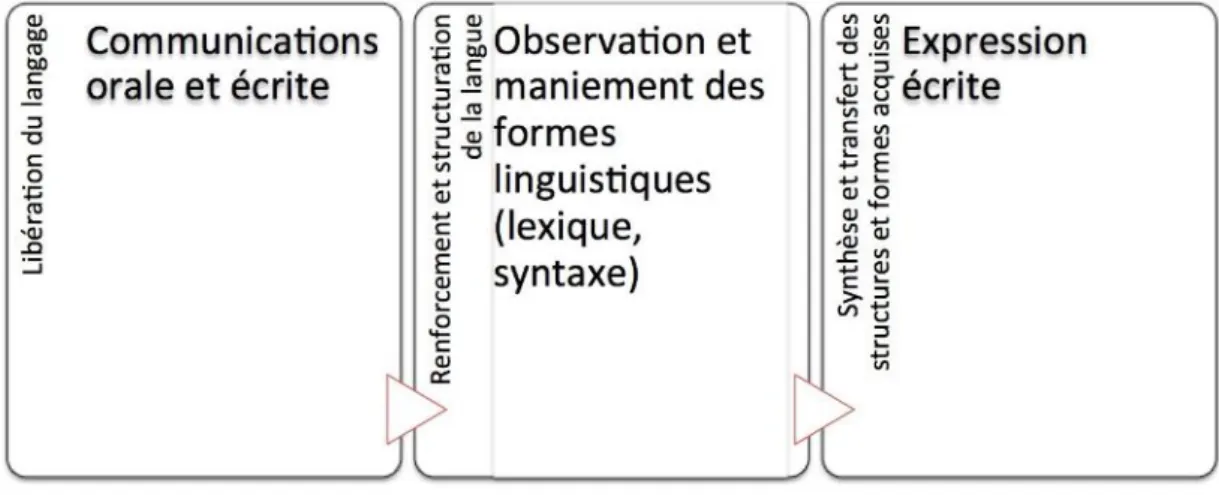 Figure 7 : Organisation des apprentissages scripturaux selon le Plan Rouchette (1971) 
