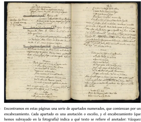 Fig. 2: Anotaciones de Vázquez Siruela en el ms. 3893, fol. 62v°b-63r°c.