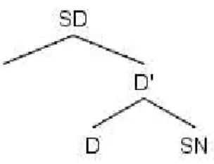 Figure 0.6 : structure d’un SN avec déterminant (1) 
