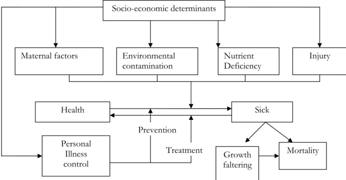 Figure 1.1:  Proximate determinants of child health  