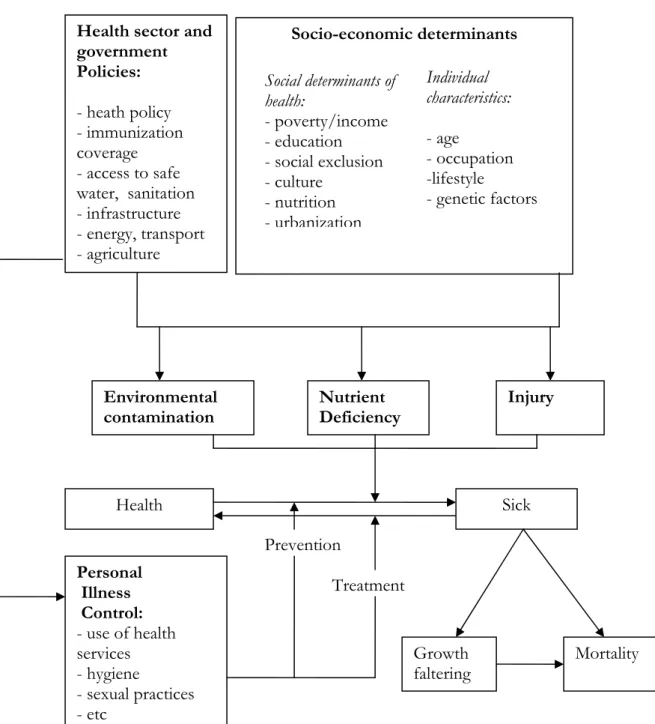Figure 1.2: Health determinants 