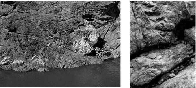 Fig.  5.  Deux  gros  plans  sur  la  faille  principale,  à  droite,  au  pied  du  dièdre,  à  gauche  au  pied  de  la  rive  droite ; les bordures de roche finement broyée, bien visibles à gauche, ont été érodées à droite (épaisseur  environ métrique d