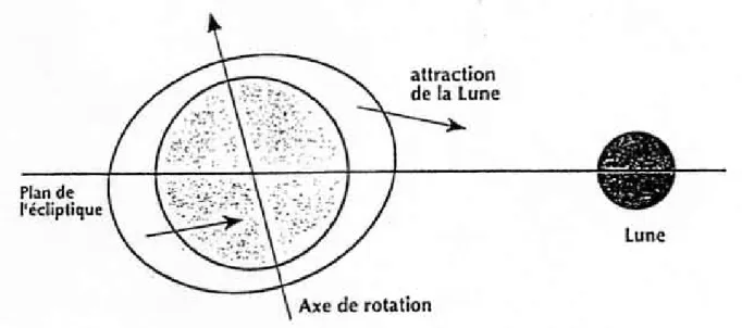 Figure 2 - La cause du mouvement de précession