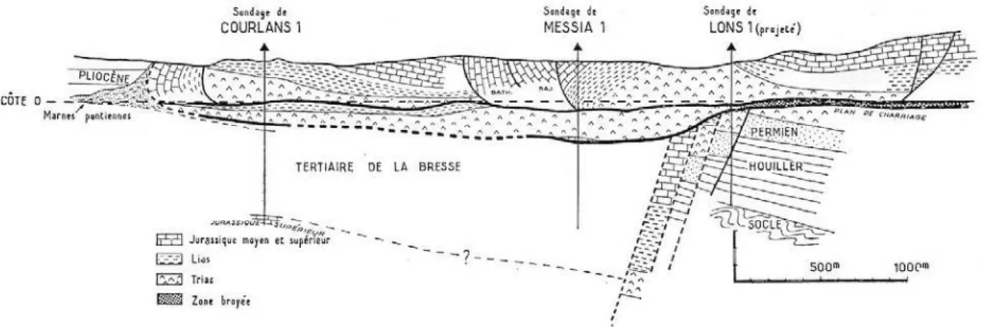 Fig. 6. Charriage du Jura sur la Bresse. D’après Michel et al., 1953. 