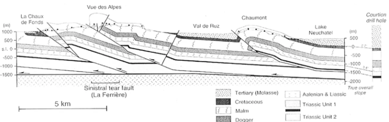Fig. 4. Profil à travers le Jura neuchâtelois (Sommaruga, 1998). 