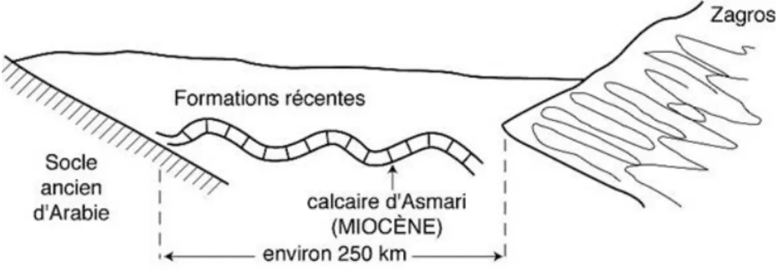 Figure 4. Schéma de l’avant fosse mésopotamienne (extrait du cours de L. Barrabé)