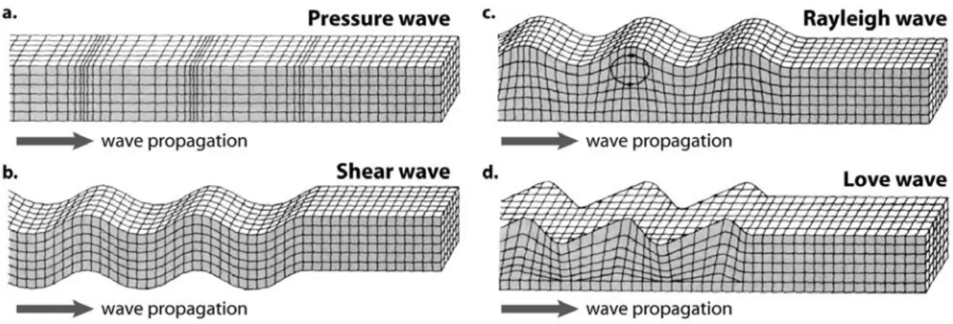 Figure 1.1 : Déplacement des particules d’un milieu à travers lequel se propagent les ondes de volume ((a) compression et (b) cisaillement) et les ondes de surface ((c) Love et (d) Rayleigh).