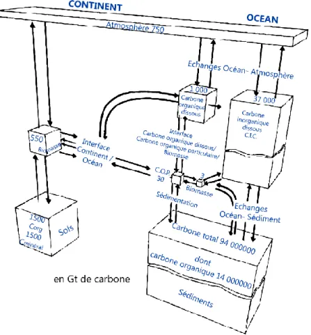 Fig.  1.  Estimation  de  la  taille  des  différents  réservoirs  superficiels  du  carbone  (en  Gt  de  carbone)  et  échange  entre  ces  réservoirs