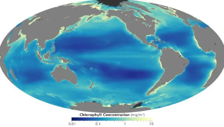 Fig. 5. Carte de la concentration moyenne en chlorophylle entre Juillet 2002 et Mai 2010