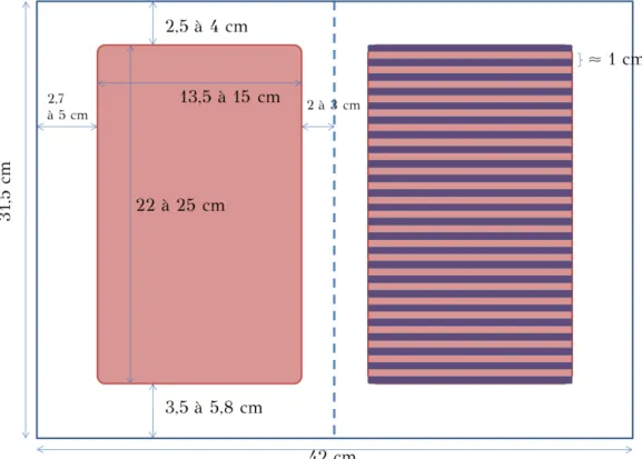 Fig. 11 : Dimensions du codex 2 et de sa surface écrite. 