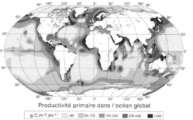 Figure 3.3. Carte de répartition de la production primaire dans l’océan global (Baudin et al.,  2007)
