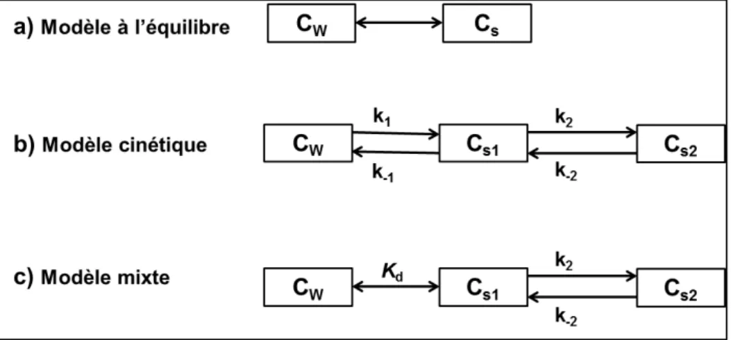 Figure I.2. Schéma des modèles simulant le processus d’adsorption/désorption dans le sol