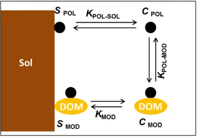 Figure I.7. Schéma des interactions entre les polluants libres dans la phase soluble (POL), adsorbés sur les  MOD et sur les phases solides du sol (modifié de Barriuso et al