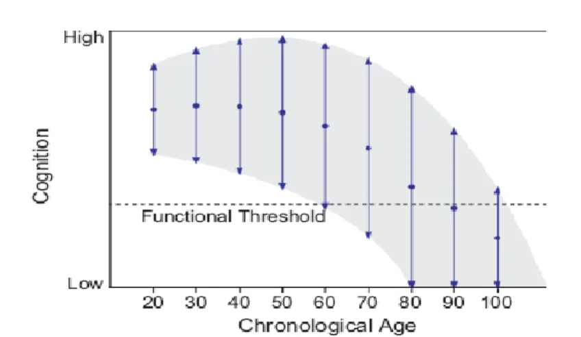 Figure  3  :  Représentation  du  potentiel  de  développement  cognitif  au  cours  de  la  vie   pour un individu donné (Hertzog, Kramer, Wilson, &amp; Lindenberger, 2009)