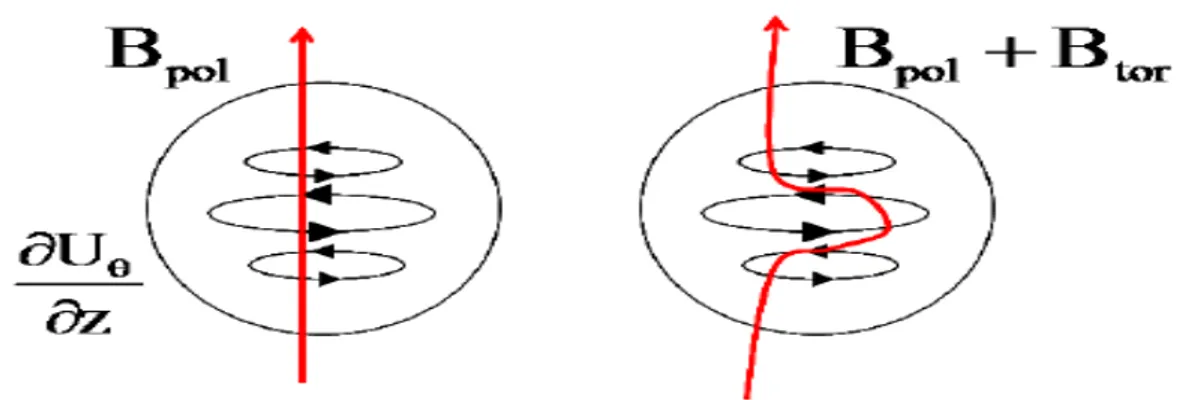 Fig. 2.3  Construction d'une composante toroïdale B tor à partir d'un champ initial poloïdal B pol soumis à l'action d'un cisaillement axial ∂U θ / ∂z .