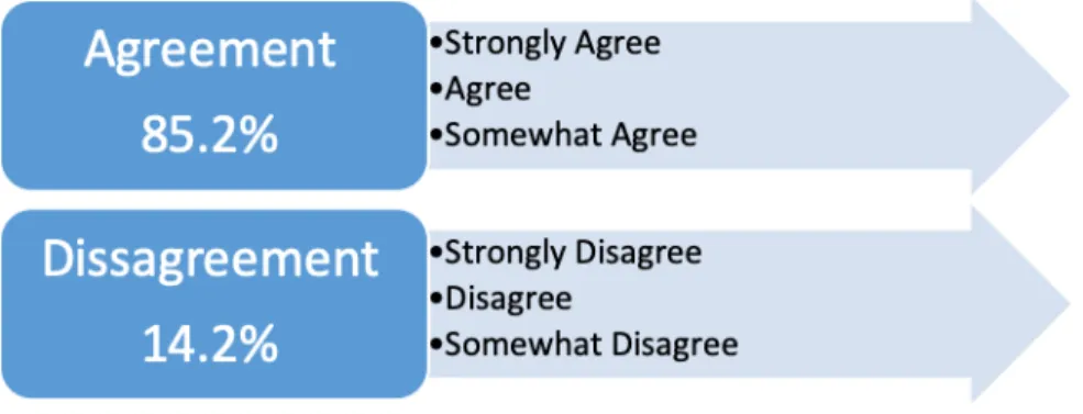 Figure 2. Dichotomous Agreement vs. Disagreement Scale. 