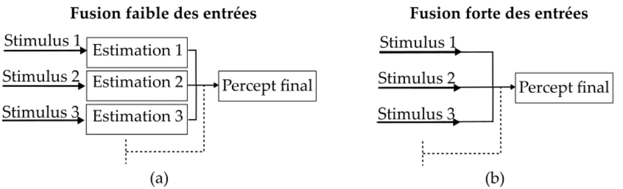 Figure 1.16. La théorie d’une fusion faible des données argumente en faveur d’une estimation individuelle avant l’estimation ﬁnale (a)