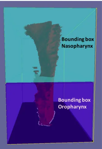 Figure II. 26 : Découpage des &#34;bounding box&#34; des étages du pharynx 