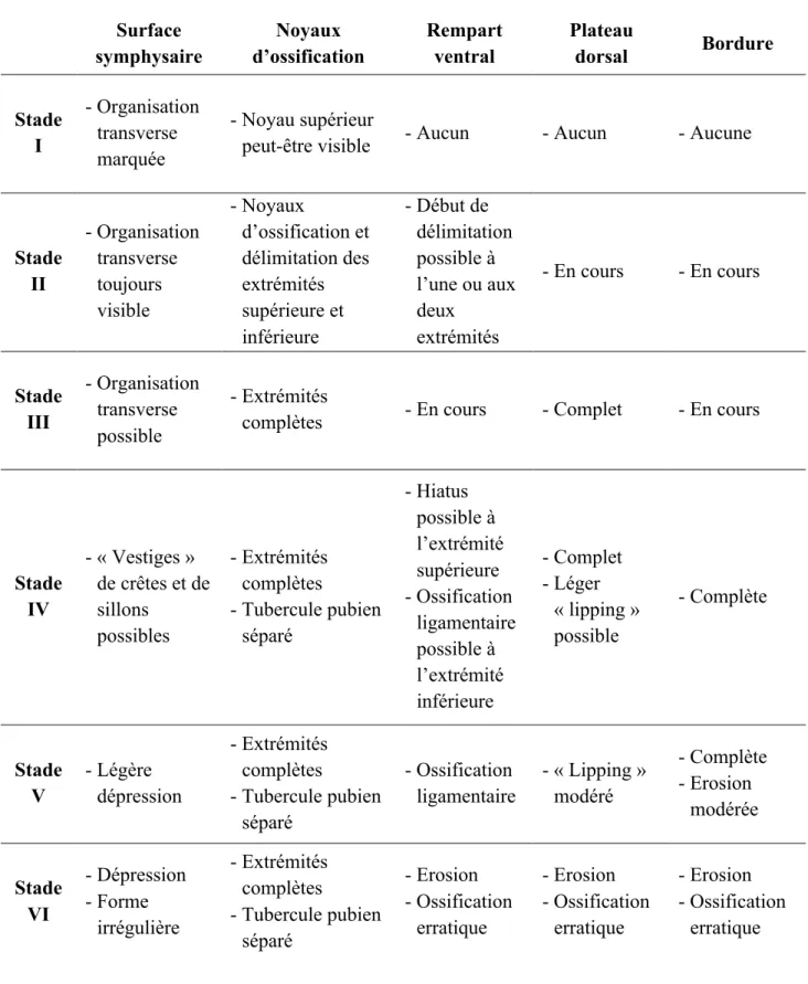 Tableau 1 :   Description morphologique des stades d’estimation de l’âge selon la méthode originale  de  Brooks  et  Suchey