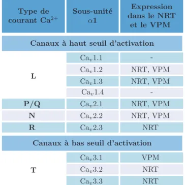 Table I.7 – Classification des canaux Ca 2+ voltage-dépendants et expression dans les neurones thalamiques.