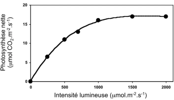 Figure 13. Evolution de la photosynthèse en fonction de l’intensité lumineuse chez la Vigne (Zufferey et Murisier 2000)