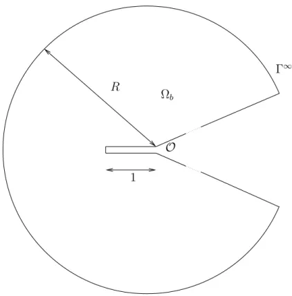 Fig. 2.5 – Le domaine int´erieur born´e utilis´e dans la mod´elisation.