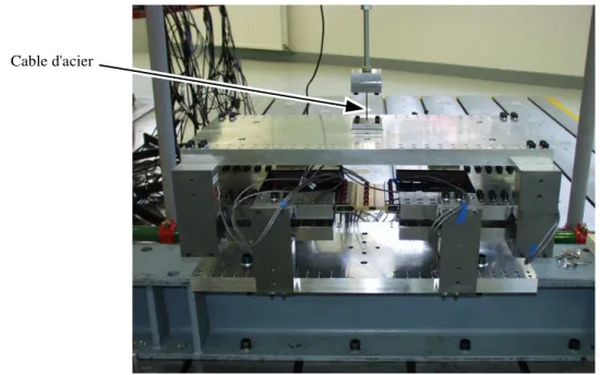 Figure 1.5: Montage avec le cable d’acier pour l’essai de lˆach´e