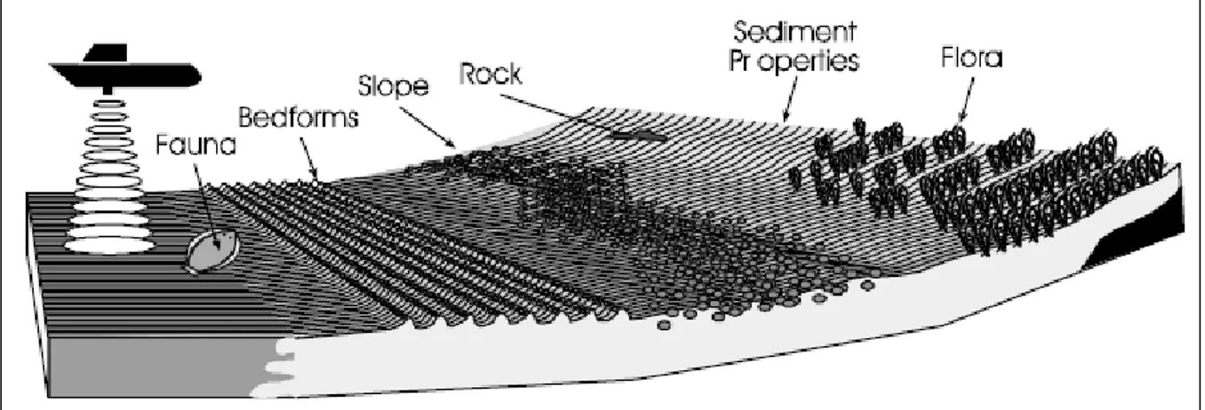 Figure I.30 : Caractéristiques du fond marin influençant la forme de l'écho (Watt, 2007)