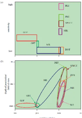 Figure 12 : (a) Comparaison de la sensibilité en fonction de la résolution spatiale et (b) de la  profondeur de pénétration tissulaire en fonction de la résolution spatiale pour différentes techniques 