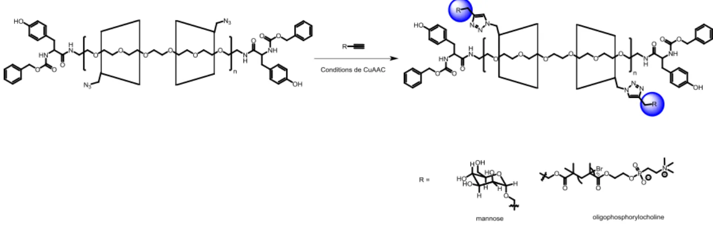 Figure 33 : Polyrotaxane de cyclodextrines portant des fonctions azoture pour la fontionnalisation  avec des mannoses et des oligophosphorylcholine 
