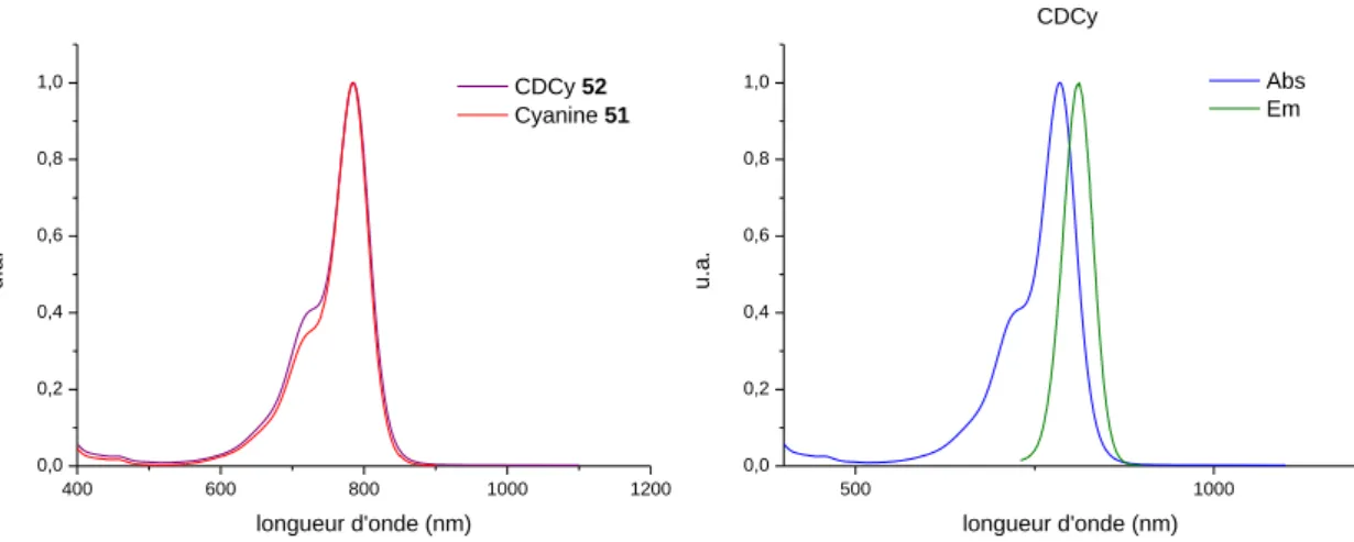 Figure 1.12 : Spectre d’absorption de 51 et 52 (gauche) et d’émission de CDCy (droite)  