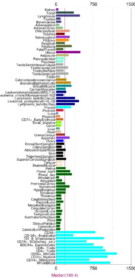 Figure 10 ROCK1 expression in human tissues (BioGPS. 2014) 