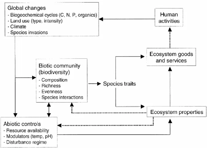 Figure  1  |  Conceptual  figure  showing  links  between  the  environment,  community  dynamics, ecosystem functioning and ecosystem services, as well as the role of species traits  in mediating ecosystem functioning